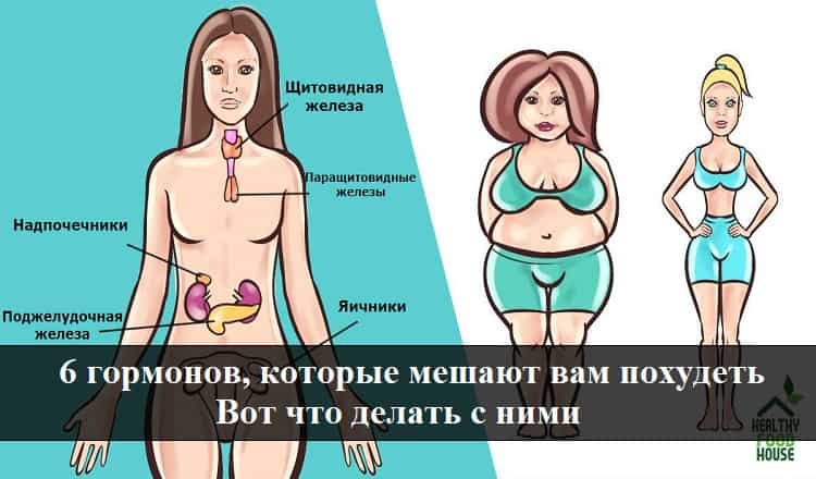 Гормоны Мешающие Похудеть Женщине