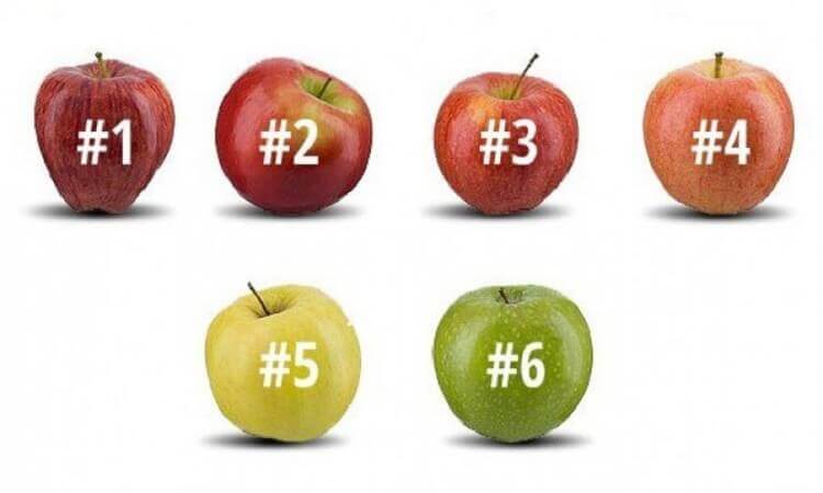 Выберите яблоко, которое вы бы съели