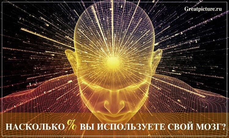 Большинство людей используют мозг только на 10%. А вы?