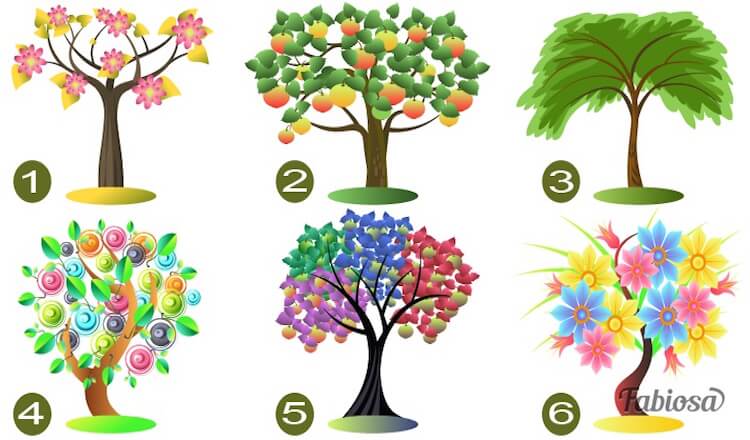 Тест: Выберите дерево, и мы расскажем тайны вашей личности