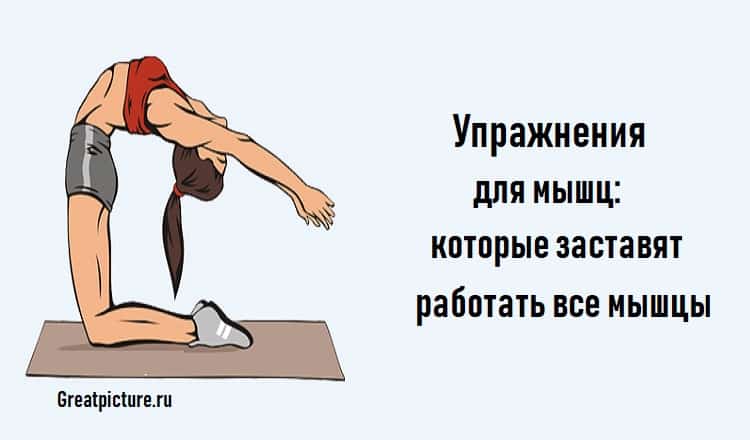 Упражнения для мышц: которые заставят работать все мышцы