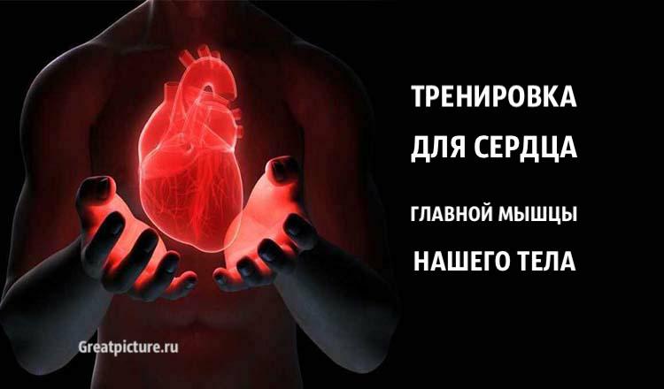 Тренировка для сердца — главной мышцы нашего тела