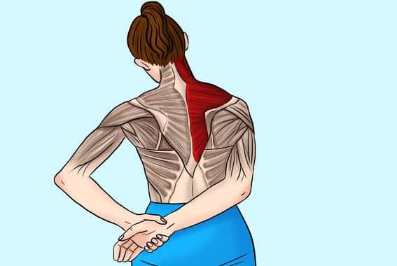 Чтобы снять напряжение в шее и плечах, делайте эти 11 упражнений