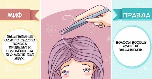 10 популярных мифов об уходе за волосами и вся правда о них